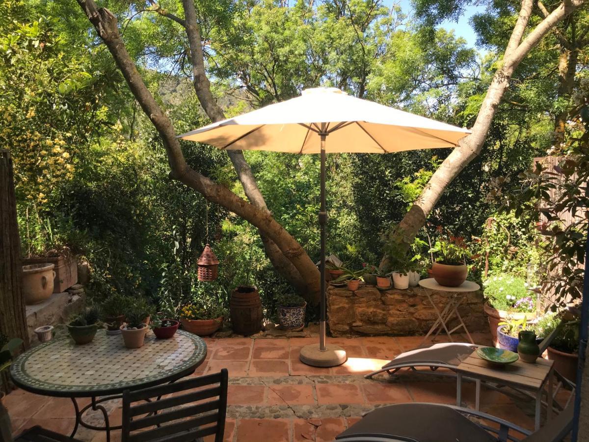 La Maison D' Elizabeth Lagrasse Εξωτερικό φωτογραφία