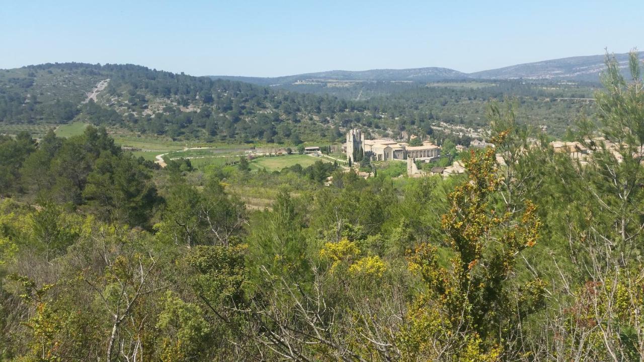 La Maison D' Elizabeth Lagrasse Εξωτερικό φωτογραφία